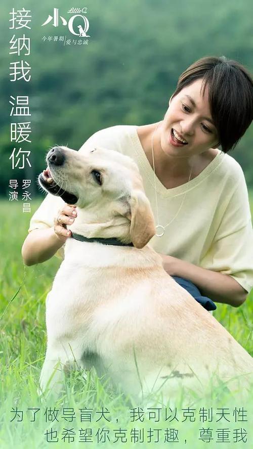 哪里能买到密西西比大学文凭